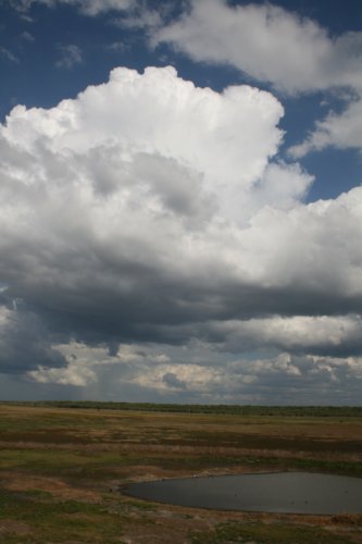 2511A062t.jpg (22861 bytes)
