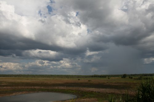 2511A067t.jpg (22061 bytes)