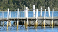 Narooma, NSW