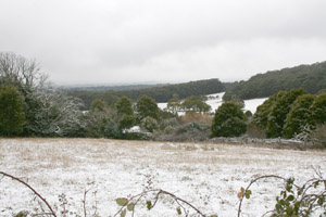 0810jon21t.jpg (38796 bytes)