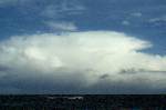 May 15 - Melbourne Cold Outbreak