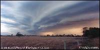 March 13 - Wonthaggi to Glen Alvie Chase - Tony Middleton