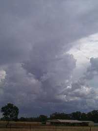 February 2 - NE Victoria & southern NSW - Jane ONeill