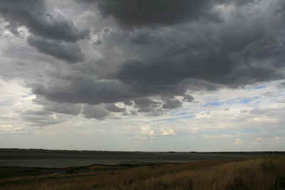 Image: Jane ONeill
