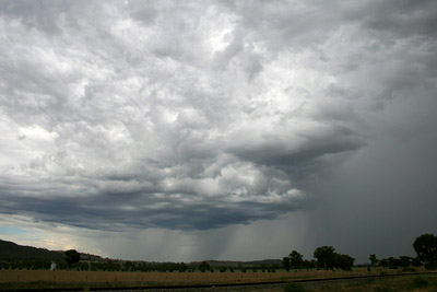 Image: Clyve Herbert