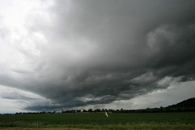 Image: Clyve Herbert