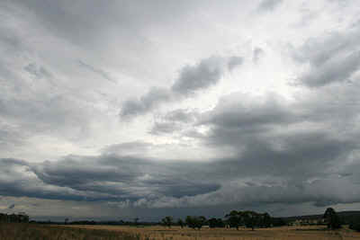 Image: Clyve Herbert