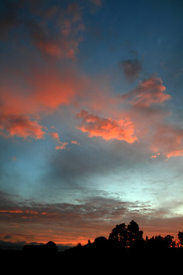 Image: Jane ONeill