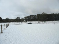 Trentham - C Herbert
