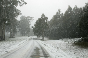 Mt Macedon 27/7/08