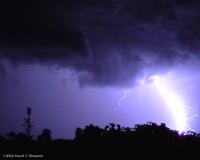 June 12 - Liam Domanski, David Simpson - Melbourne & the Yarra Valley