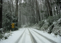 Near the turnoff to Lake Mountain