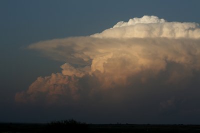 Day 2: Flagstaff, AZ to Shamrock, TX